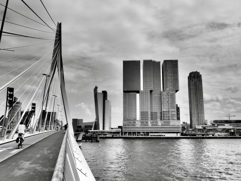 Erasmus Bridge by Ellen Nipshagen
