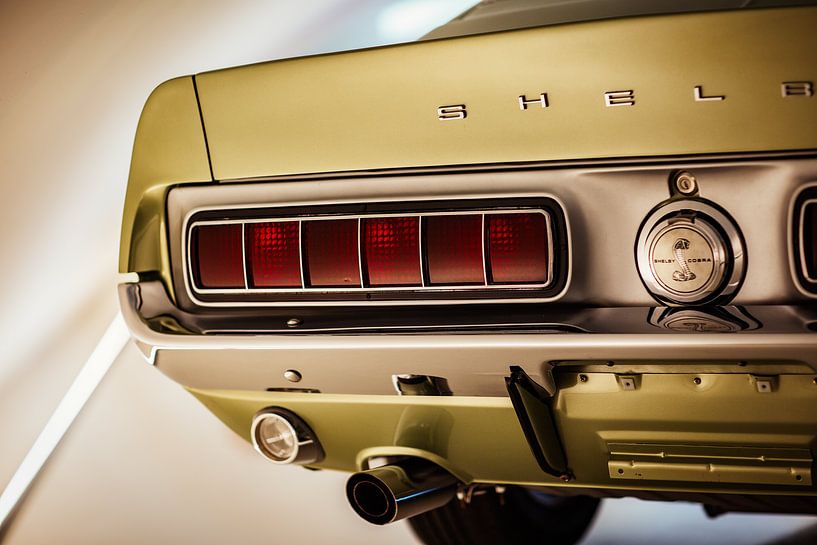 Ford Shelby GT 350 Fastback van Linda Hutten
