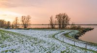 Rivieroever bij zonsondergang von Ruud Morijn Miniaturansicht