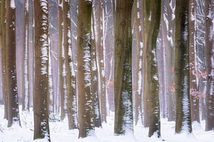 Stuifsneeuw
