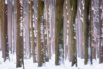 Stuifsneeuw van Bram de Jong