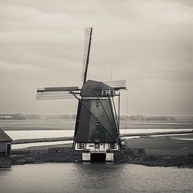 Windmühle Het Noorden auf Texel von Captured Created by Cathleen