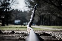 Voies ferrées Kam Westerbork