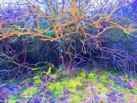 duinstruik von Margriet Snaterse