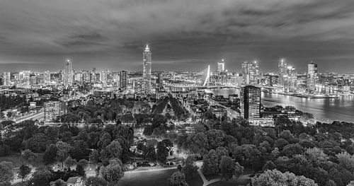 Skyline Rotterdam bij avond in zwart-wit