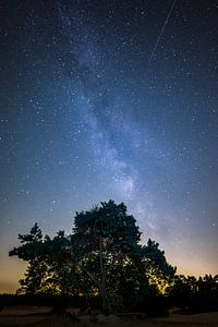 Milkyway Veluwe, Milkyway Pays-Bas