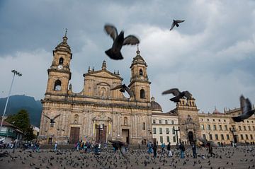 Bogota by Richard Wareham