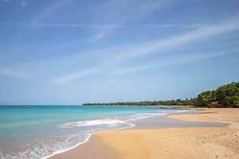 Caribbean sandy beach on Guadeloupe, Plage de Clugny