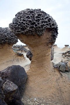 Yehliu Geopark: enkele voorbeelden van rots-erosie, Taiwan van Kees van Dun