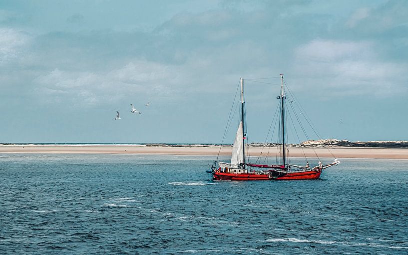 Segelschiff auf den Dünen von Terschelling von Rietje Bulthuis