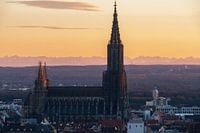 Ulm Minster en de stad Ulm 's avonds bij zonsondergang met de Alpen op de achtergrond