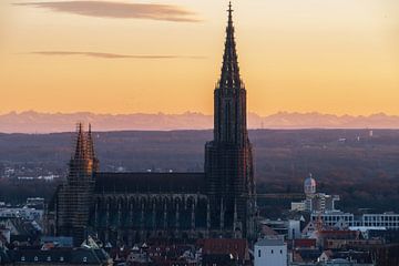 Ulmer Münster und die Stadt Ulm Abends zum Sonnenuntergang mit Alpen im Hintergrund