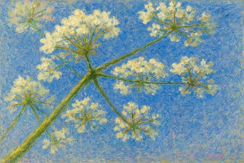 Unter dem samtenen Himmel. von Niek Traas