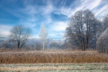 Winterlandschap in Beieren van ManfredFotos