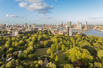 The beautiful city park of Rotterdam from the Euromast