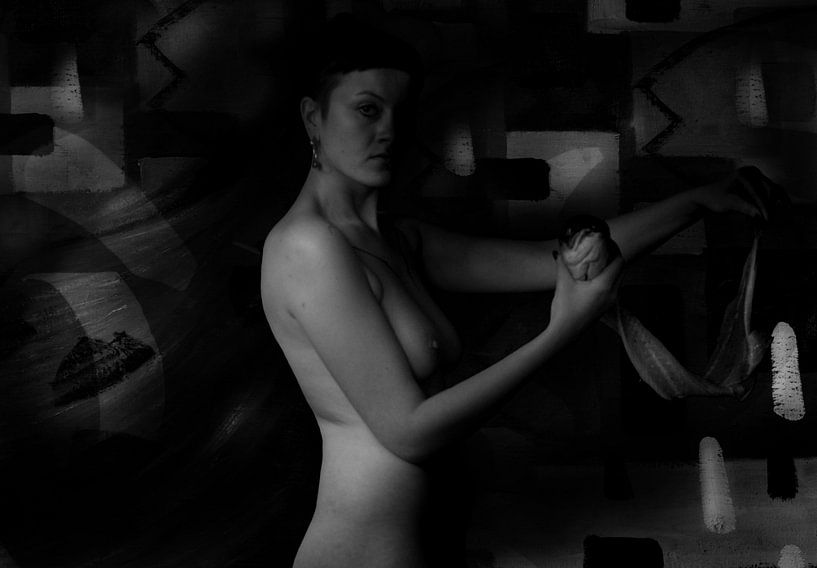 vis by dick papa