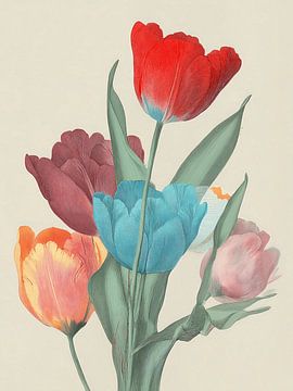 Tulip Season by Artclaud