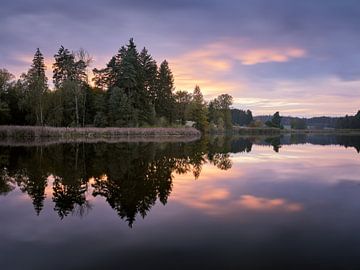 Auweiher im Herbst