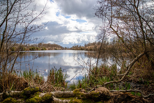 Landschaft | Niederlande | Utrecht