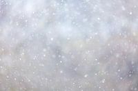Sneeuwvlokken