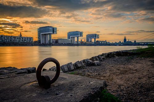 Kraanhuizen in Keulen bij zonsondergang