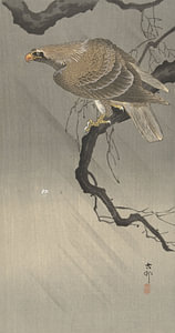 Adler auf Zweig des Ohara Koson