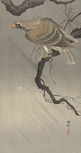 Aigle sur la branche de Ohara Koson