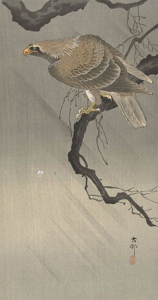 Aigle sur la branche de Ohara Koson par Gave Meesters