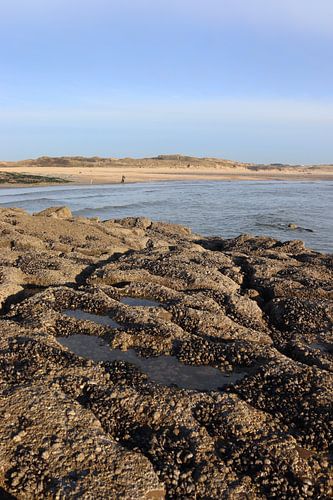 Prachtige kustlijn, Ambleteuse, Frankrijk