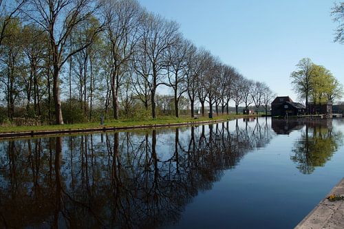 bomenrij boven en onder water
