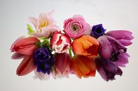 spring by Thea Mekkelholt thumbnail