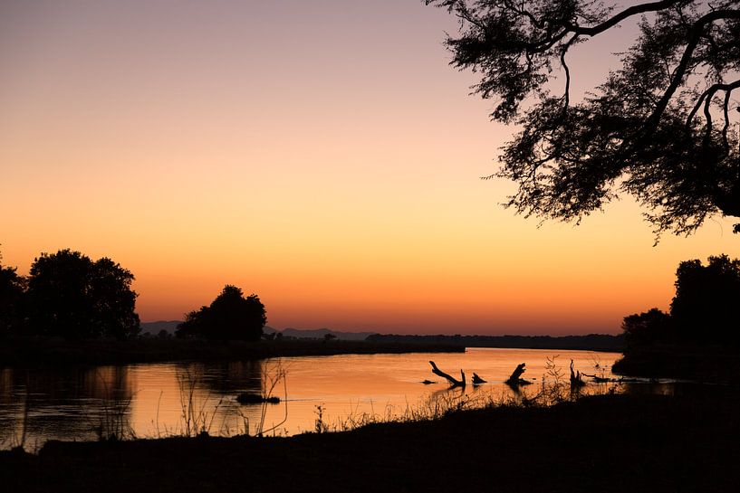 Sunrise over the Zambezi by Angelika Stern