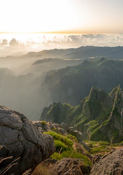 Rock valley full of light by Koen Boelrijk Photography