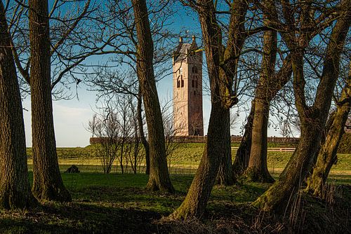 The church of the Frisian village of Firdgum in the evening sunlight