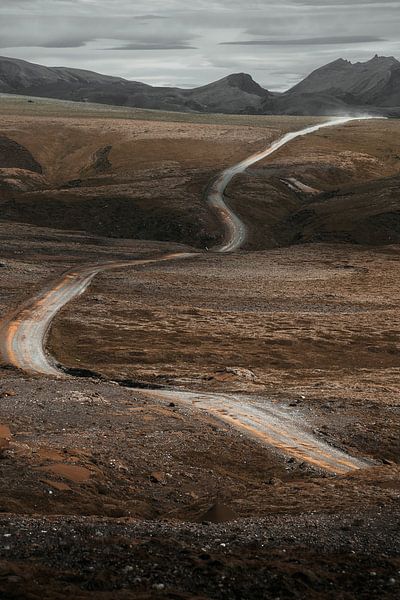 Trostlose Straße durch isländische Berge von Diana Birjac Photos