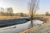 Winter landschap in de vroege ochtendzon van Ruud Morijn thumbnail