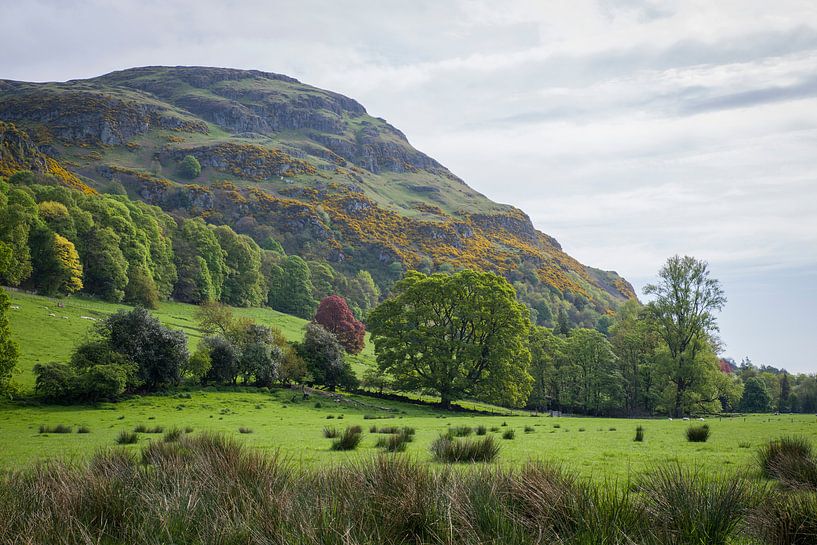 Stirling von Eriks Photoshop