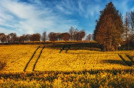 Alltag Landschaft im Erzgebirge von Johnny Flash