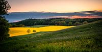 Farben des Frühlings
