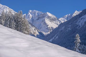 Oytal, Allgäuer Alpen van Walter G. Allgöwer