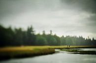 Wandelen in de regen op de hoge veluwe | reisfotografie | Nederland van Willie Kers thumbnail