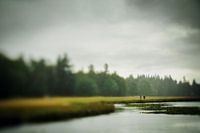 Wandelen in de regen op de hoge veluwe | reisfotografie | Nederland