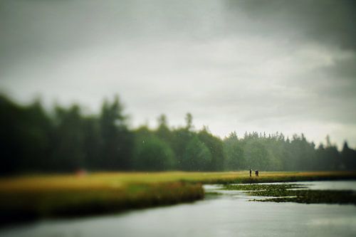 Marche sous la pluie sur le haut veluwe | photographie de voyage | Pays-Bas