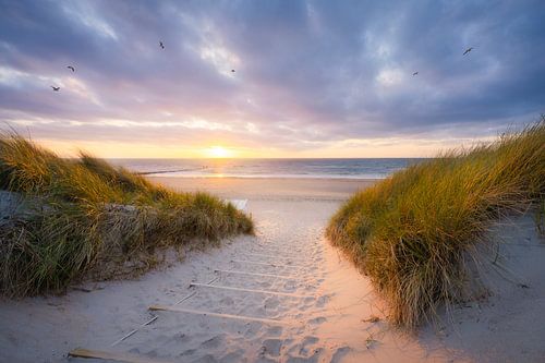 Beach entrance the Manteling by Thom Brouwer