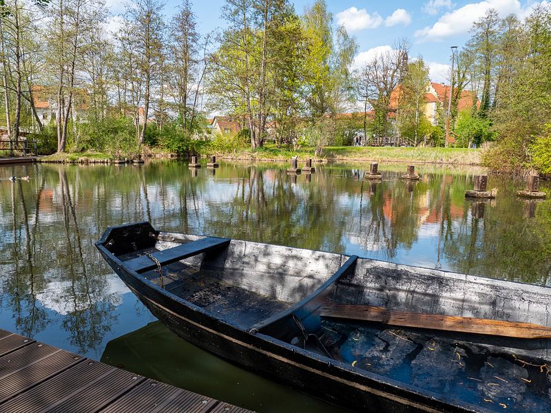 Boot auf der Spree im Spreewald von Animaflora PicsStock