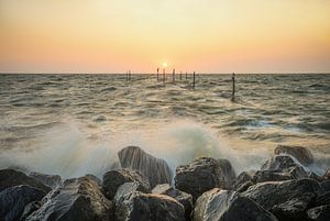 Frische Luft schnappen am IJsselmeer bei Sonnenaufgang