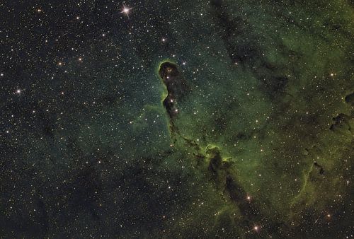 Elephant’s Trunk Nebula – Cosmic Sculpture