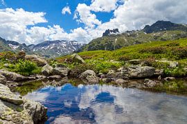 Mirror Lake by Coen Weesjes