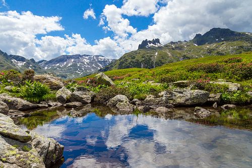 Mirror Lake by Coen Weesjes