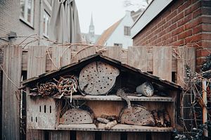 *** Insektenhotel in Haarlem ***